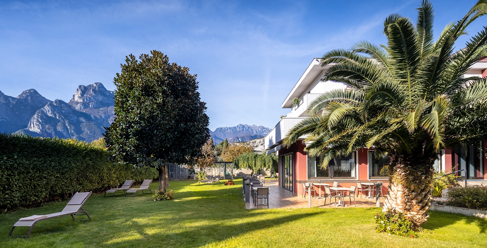 Giardino con palme e montagne sullo sfondo